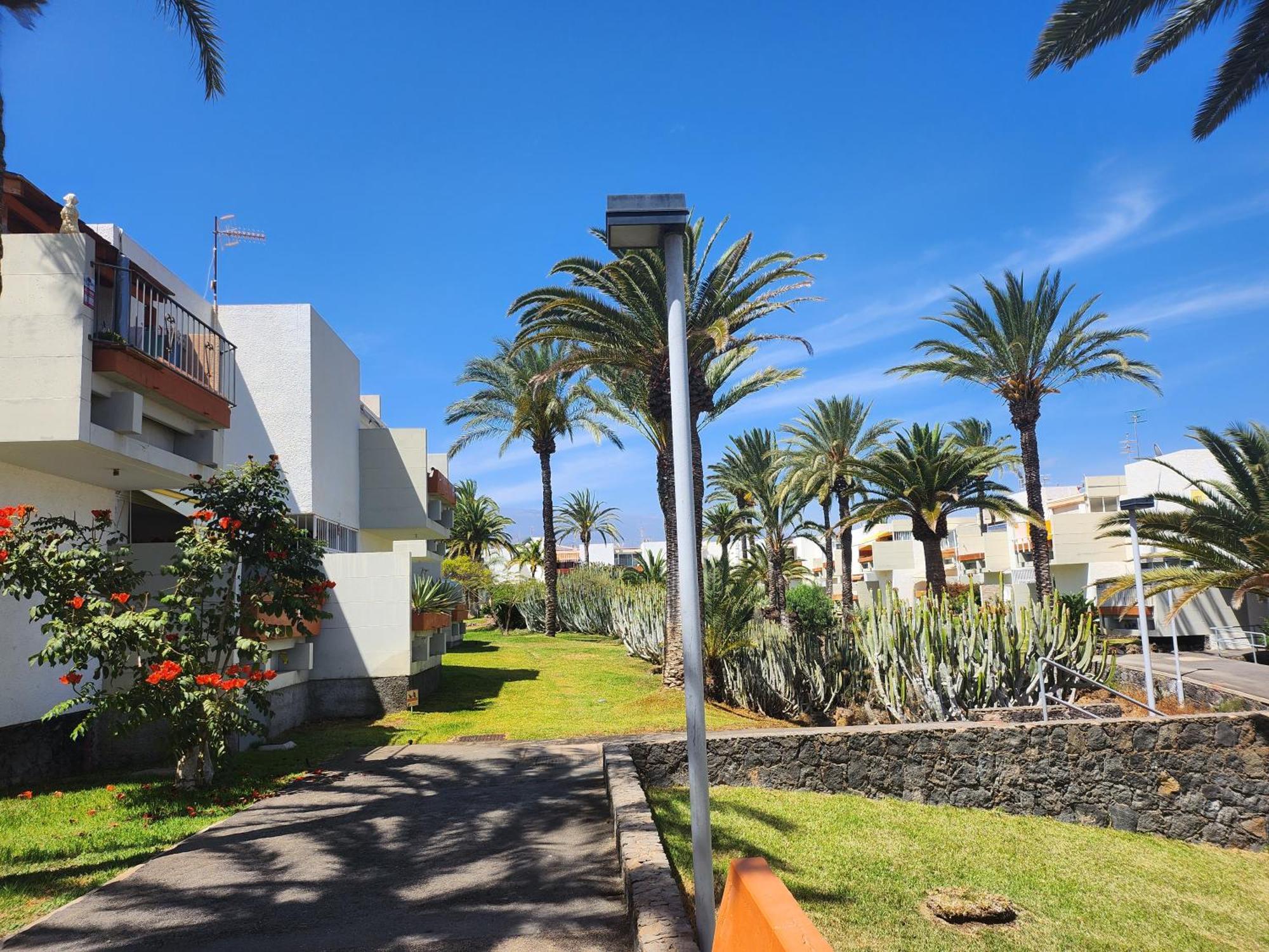 Tenerife Sunshine South Apartment Beach By La Ballena Арона Экстерьер фото