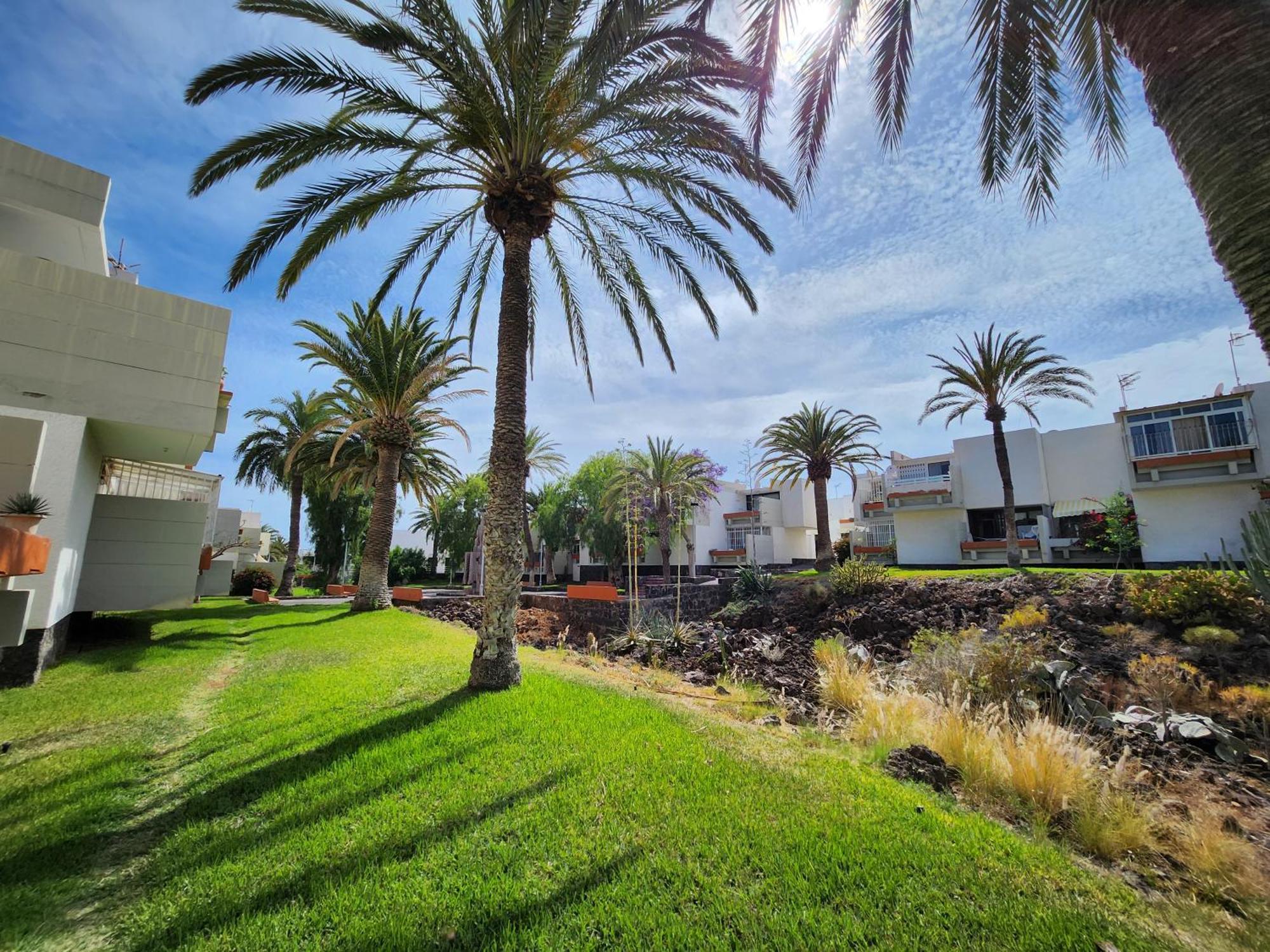 Tenerife Sunshine South Apartment Beach By La Ballena Арона Экстерьер фото